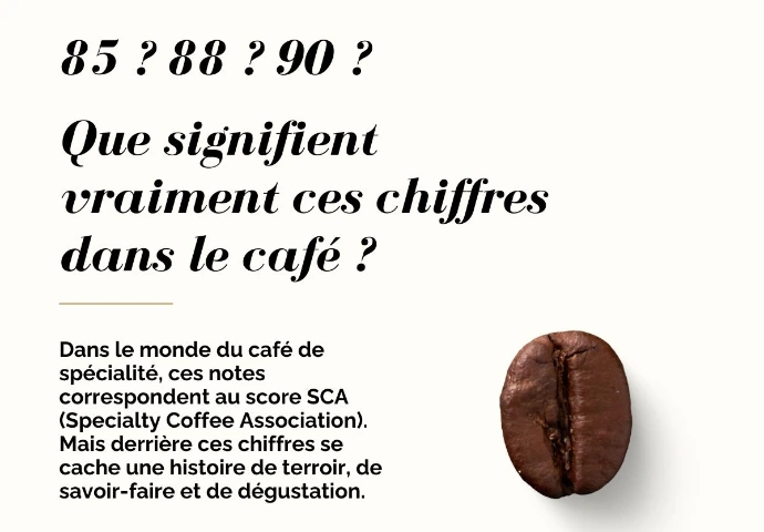 Score SCA, notation d'un café de spécialité