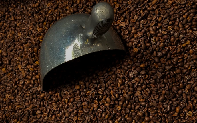 Conservation des grains de café en grains